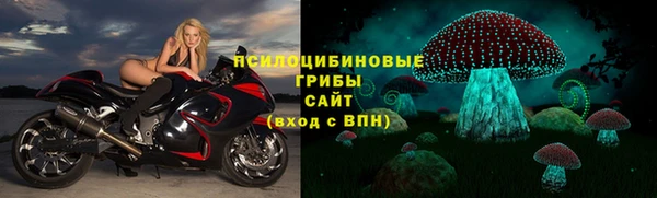 герыч Новокубанск
