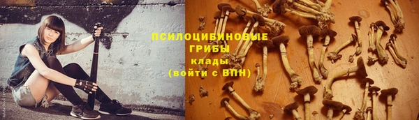 герыч Новокубанск