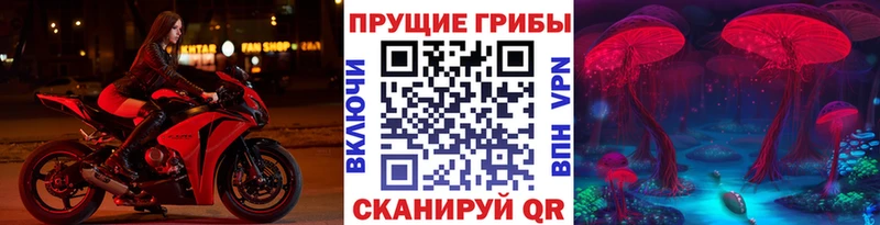 Галлюциногенные грибы Cubensis  Трубчевск 